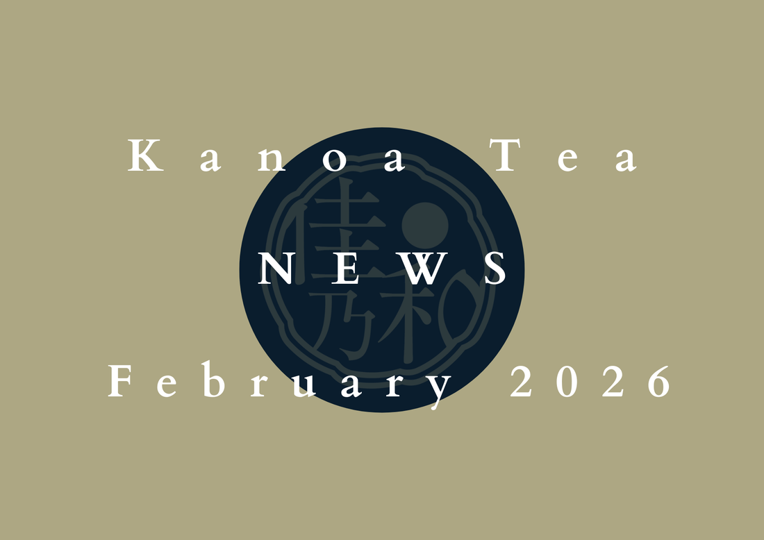 February 2026 – Kanoa Tea on Tour in Germany