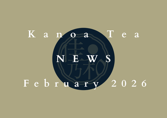 February 2026 – Kanoa Tea on Tour in Germany